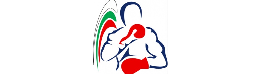 Телеканал Боец покажет Чемпионат Европы по боксу